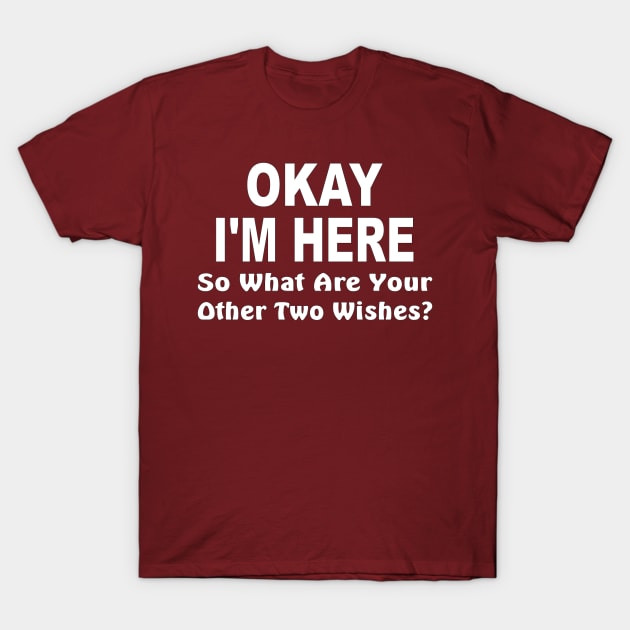 Okay I'm here, so what are your other two wishes T-Shirt by pickledpossums